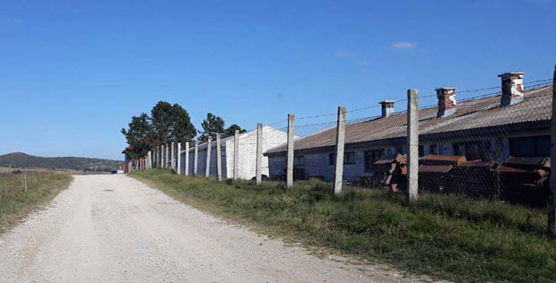 Мали Небојша потрчао ка мајци и отишао у смрт!